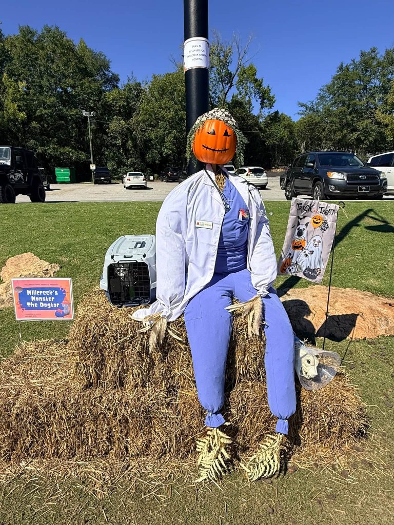 Decorated scarecrow on display during the Lexington Scarecrow Stroll