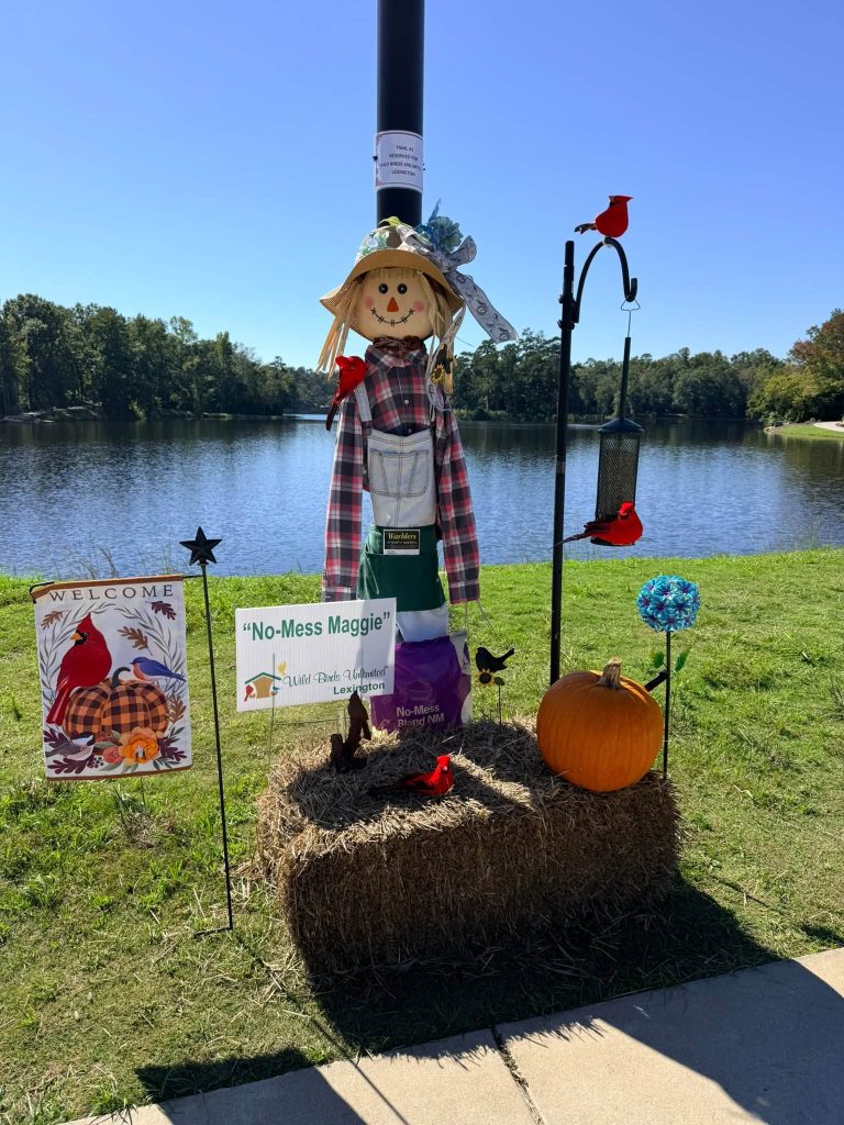 Decorated scarecrow on display during the Lexington Scarecrow Stroll